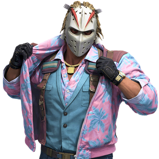 skins_models